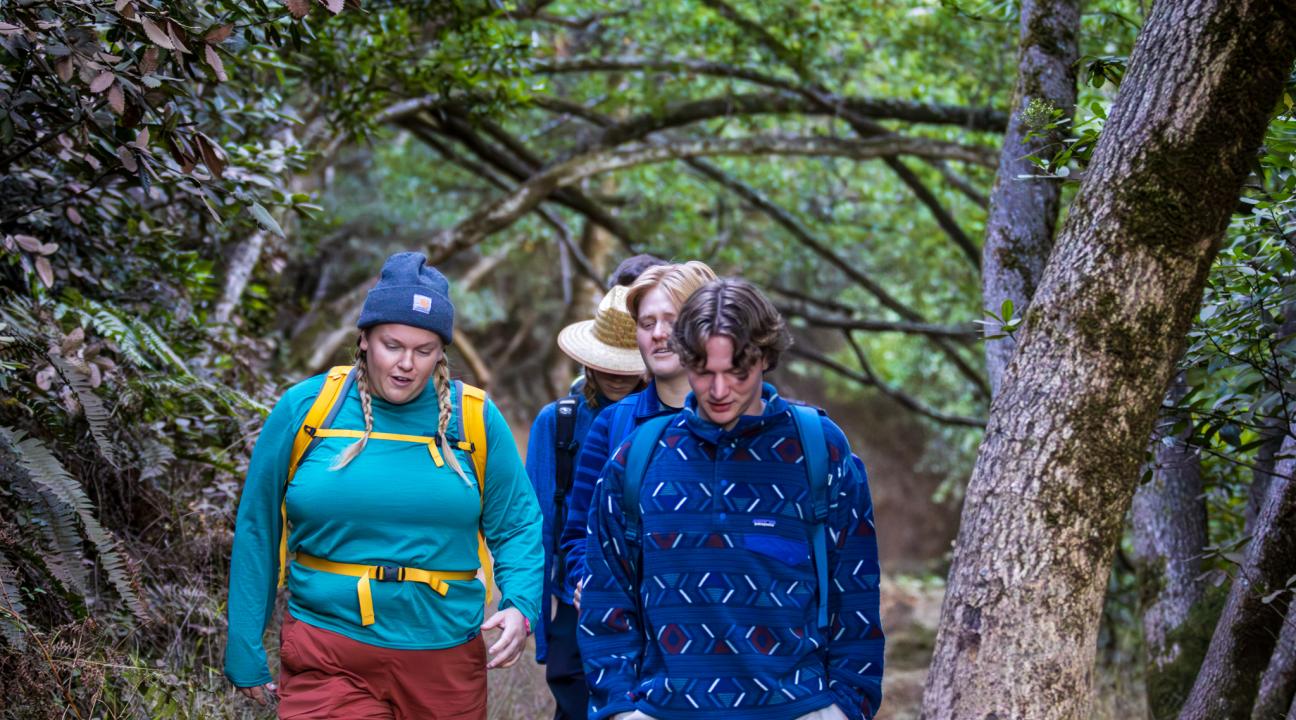 students in hats walking down a wooded path
